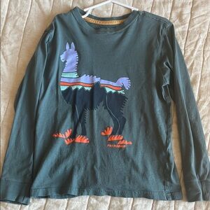 Patagonia Kids Long Sleeve Shirt with Llama Graphic - Teal